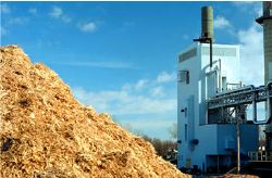 Congenerazione a biomassa